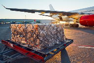 国际快递运输过程中可能会遇到哪些特殊情况（国际快递干货知识分享）