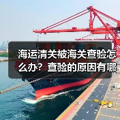 海运清关被海关查验怎么办？查验的原因有哪些（如何快速通过查验）
