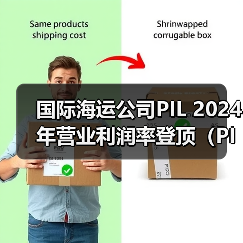 国际海运公司PIL 2024 年营业利润率登顶（PIL凭何独占鳌头）（图4）
