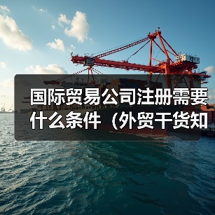 国际贸易公司注册需要什么条件（外贸干货知识分享）（图2）