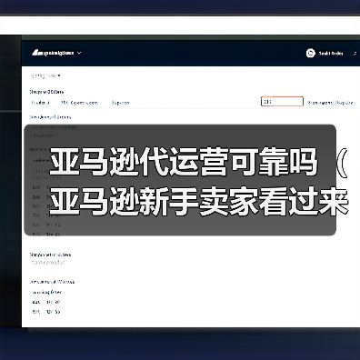 亚马逊代运营可靠吗(亚马逊新手卖家看过来)(图4) 亚马逊代运营可靠吗(亚马逊新手卖家看过来)(图4)