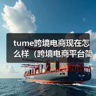 tume跨境电商现在怎么样（跨境电商平台简介）（图4）
