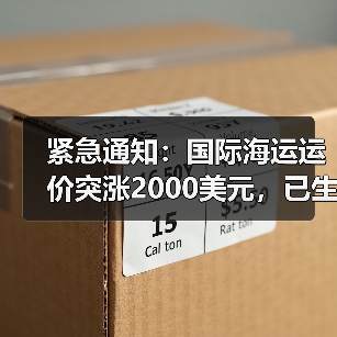 紧急通知：国际海运运价突涨2000美元，已生效（海运市场震荡加剧）（图1）