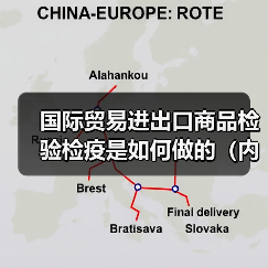 国际贸易进出口商品检验检疫是如何做的（内附外贸商品检疫流程）（图4）
