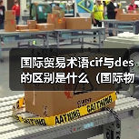 国际贸易术语cif与des的区别是什么（国际物流干货知识分享）（图1）