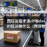 国际贸易术语cif与des的区别是什么（国际物流干货知识分享）（图3）