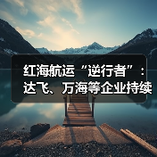 红海航运“逆行者”：达飞、万海等企业持续布局该航线（国际海运新闻资讯）（图2）