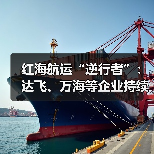 红海航运“逆行者”：达飞、万海等企业持续布局该航线（国际海运新闻资讯）