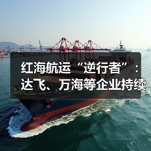 红海航运“逆行者”：达飞、万海等企业持续布局该航线（国际海运新闻资讯）（图4）