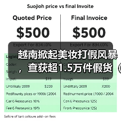 越南掀起美妆打假风暴，查获超1.5万件假货（跨境电商卖家请注意）