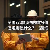 英国双清包税的申报价值规则是什么？（跨境电商卖家如何填写申报价值）（图2）