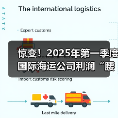惊变！2025年第一季度国际海运公司利润“腰斩”（利润率暴跌）（图3）
