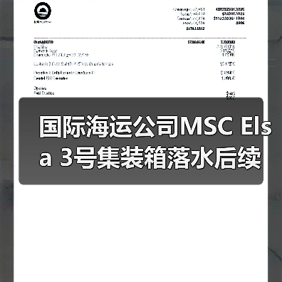 国际海运公司MSC Elsa 3号集装箱落水后续（箱体冲上岸引发环境污染担忧）（图4）