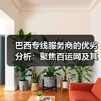 巴西专线服务商的优劣分析：聚焦百运网及其他同行（图2）