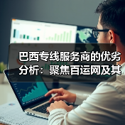 巴西专线服务商的优劣分析：聚焦百运网及其他同行（图1）