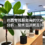 巴西专线服务商的优劣分析：聚焦百运网及其他同行（图4）