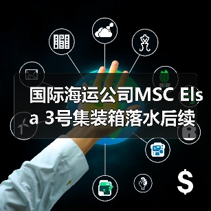 国际海运公司MSC Elsa 3号集装箱落水后续（箱体冲上岸引发环境污染担忧）（图3）