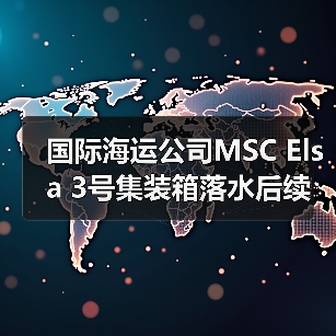 国际海运公司MSC Elsa 3号集装箱落水后续（箱体冲上岸引发环境污染担忧）（图2）