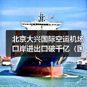 北京大兴国际空运机场口岸进出口破千亿(国际空运细纹资讯)(图2) 北京大兴国际空运机场口岸进出口破千亿(国际空运细纹资讯)(图2)