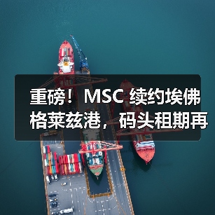 重磅！MSC 续约埃佛格莱兹港，码头租期再延 10 年（国际海运新闻资讯）（图3）
