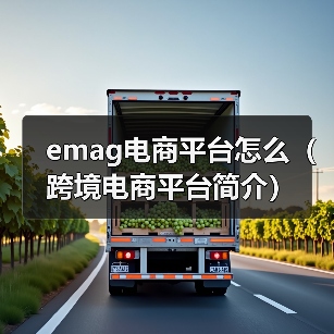 emag电商平台怎么（跨境电商平台简介）（图3）