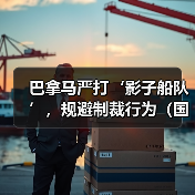 巴拿马严打‘影子船队’，规避制裁行为（国际海运新闻资讯）（图2）