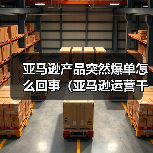 亚马逊产品突然爆单怎么回事(亚马逊运营干货知识分享)(图3) 亚马逊产品突然爆单怎么回事(亚马逊运营干货知识分享)(图3)