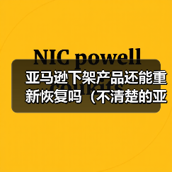 亚马逊下架产品还能重新恢复吗(不清楚的亚马逊卖家看过来)(图2) 亚马逊下架产品还能重新恢复吗(不清楚的亚马逊卖家看过来)(图2)