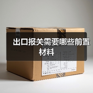 出口报关需要哪些前置材料（图1）