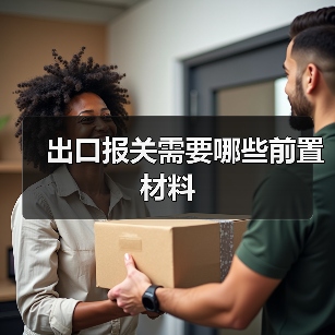 出口报关需要哪些前置材料（图4）
