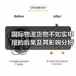 国际物流货物不如实申报的后果及其影响分析(图2) 国际物流货物不如实申报的后果及其影响分析(图2)