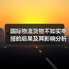 国际物流货物不如实申报的后果及其影响分析(图4) 国际物流货物不如实申报的后果及其影响分析(图4)