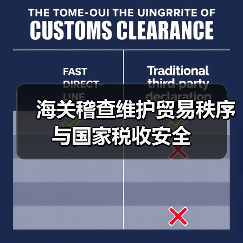 海关稽查维护贸易秩序与国家税收安全（图3）