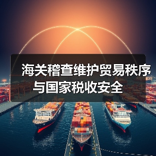 海关稽查维护贸易秩序与国家税收安全（图4）