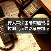跨太平洋国际海运警报拉响(运力吃紧叠加运价飙升,延误在所难免)(图4) 跨太平洋国际海运警报拉响(运力吃紧叠加运价飙升,延误在所难免)(图4)