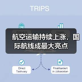 航空运输持续上涨，国际航线成最大亮点