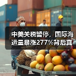 中美关税暂停，国际海运量暴涨277%背后真相（图1）