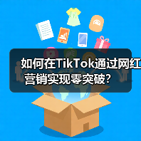 如何在TikTok通过网红营销实现零突破？（图3）