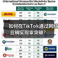 如何在TikTok通过网红营销实现零突破？（图2）