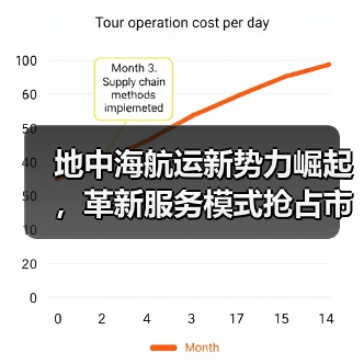 地中海航运新势力崛起,革新服务模式抢占市场(图1) 地中海航运新势力崛起,革新服务模式抢占市场(图1)