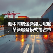 地中海航运新势力崛起,革新服务模式抢占市场(图3) 地中海航运新势力崛起,革新服务模式抢占市场(图3)