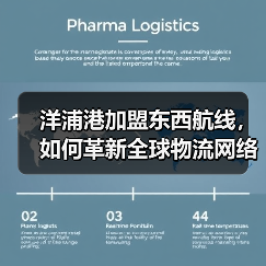 洋浦港加盟东西航线，如何革新全球物流网络？（图3）