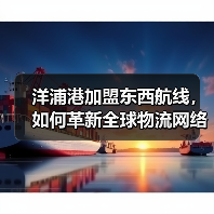 洋浦港加盟东西航线，如何革新全球物流网络？（图2）