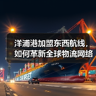 洋浦港加盟东西航线，如何革新全球物流网络？（图4）