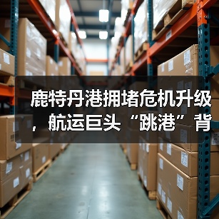 鹿特丹港拥堵危机升级，航运巨头“跳港”背后隐藏哪些风险？（图3）