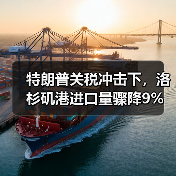 特朗普关税冲击下，洛杉矶港进口量骤降9%（图1）