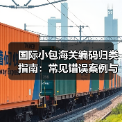 国际小包海关编码归类指南：常见错误案例与正确申报方法（图4）
