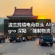 波兰跨境电商巨头 Allegro 深陷 “强制物流” 漩涡(跨境物流新闻资讯)(图3) 波兰跨境电商巨头 Allegro 深陷 “强制物流” 漩涡(跨境物流新闻资讯)(图3)