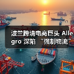 波兰跨境电商巨头 Allegro 深陷 “强制物流” 漩涡(跨境物流新闻资讯)(图4) 波兰跨境电商巨头 Allegro 深陷 “强制物流” 漩涡(跨境物流新闻资讯)(图4)